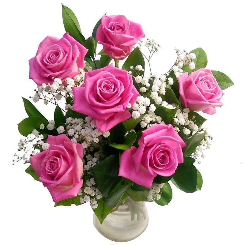 Pretty In Pink product484